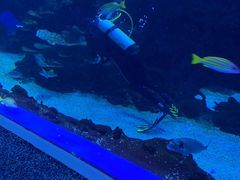 -成都浩海立方海洋公园
