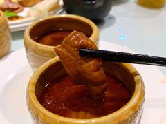 -裕龙汤泉