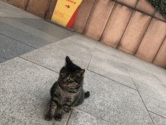 -中国计量大学(西校区)