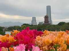 -厦门园林博览苑