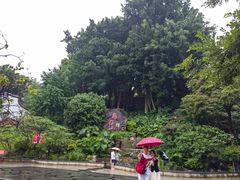 -乌山风景区