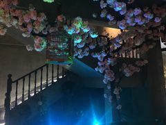 -新悦·霞浦海鲜生(上下杭店)