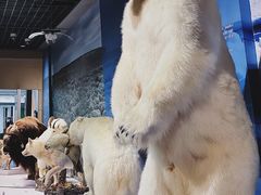 -中国湿地博物馆