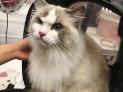 -FAELING PETS美天灵宠物(富力广场店)