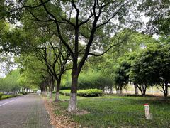 -阳澄湖半岛旅游度假区