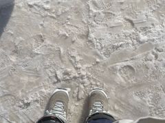 -多乐美地滑雪场
