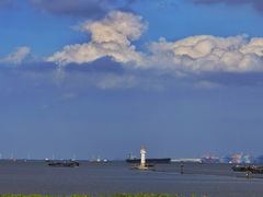 -上海吴淞炮台湾国家湿地公园