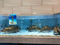 水产区-粥旺庄(芳村店)