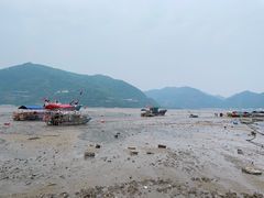 -北岐滩涂