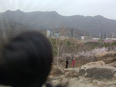 -白水寺森林公园