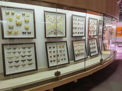 -陕西自然博物馆