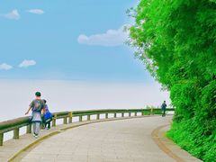 -巢湖姥山岛