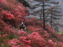 -木兰云雾山