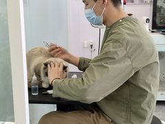 -爱洗澡的猫(望京店)