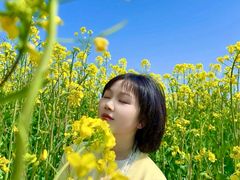 -合肥滨湖国家森林公园