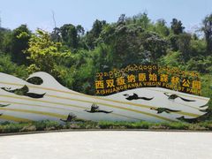 -西双版纳原始森林公园