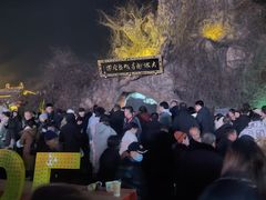 -大槐树寻根祭祖园