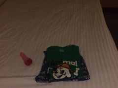 -名护雷桑力斯酒店