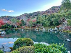 -西芳寺(苔寺)