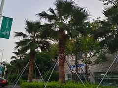 -宝安西湾红树林湿地公园