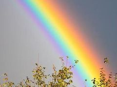 -奥体中心游泳馆