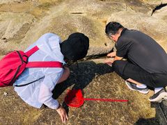 -老虎石海上公园