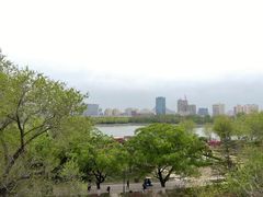 -莲花池公园