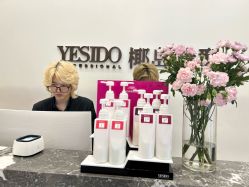 -YESIDO椰岛造型