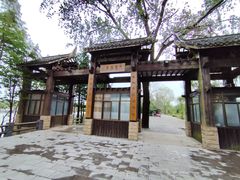 -溱湖国家湿地公园