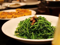 姜味芥兰苗-龙宴海鲜城(经中路店)