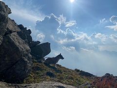 -灵山