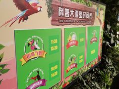-广州长隆飞鸟乐园