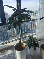 -HEYAN荷妍专业脱毛连锁机构