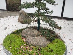 -新洲生态园