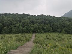 -白草畔自然风景区