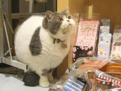 -解忧集市(北京路天河城店)