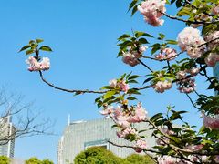 -南京奥林匹克体育中心