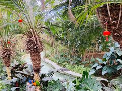 -南宫五洲植物乐园