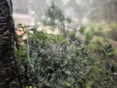 -九华山风景区月身宝殿