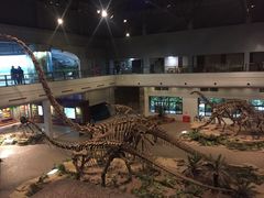 -自贡恐龙博物馆