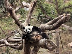 -宁波野生动物园