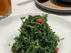 红果枸杞苗-清真·宁夏印象·盐池滩羊肉体验店(江宁路店)