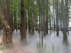 -东湖落雁景区