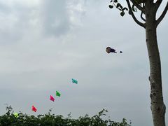 -丁香湖公园