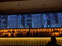 -麦落精酿啤酒餐吧(先农大院店)