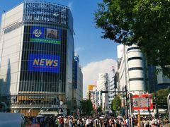 -涩谷全向十字路口