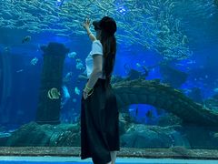 -波塞冬旅游度假区