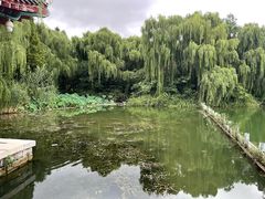 -济南大明湖景区