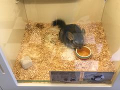 -龙猫仔乐园(惠福东路店)