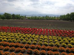 -富田农场
